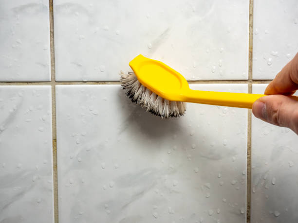 Best Mold Removal Company Near Me  in Alvord, TX