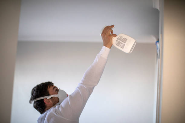 Best Mold Testing and Removal  in Alvord, TX