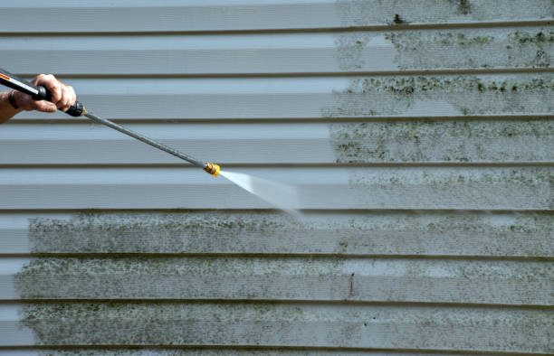 Best Mold Remediation Services  in Alvord, TX