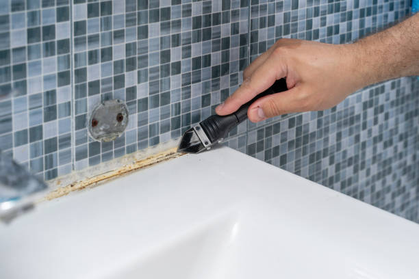 Best Certified Mold Removal  in Alvord, TX