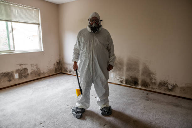 Best Mold Damage Repair  in Alvord, TX